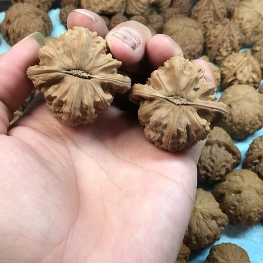 東***东文玩核桃吊坠黄尖白狮子不退不换