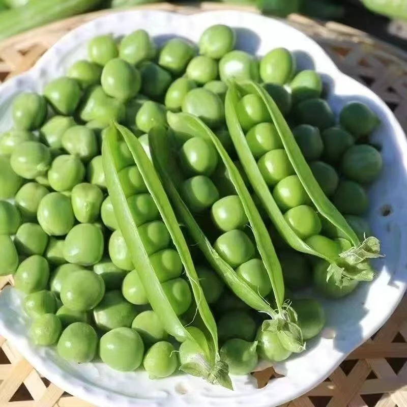 带壳豌豆甜豆500g±50g新鲜甜豆