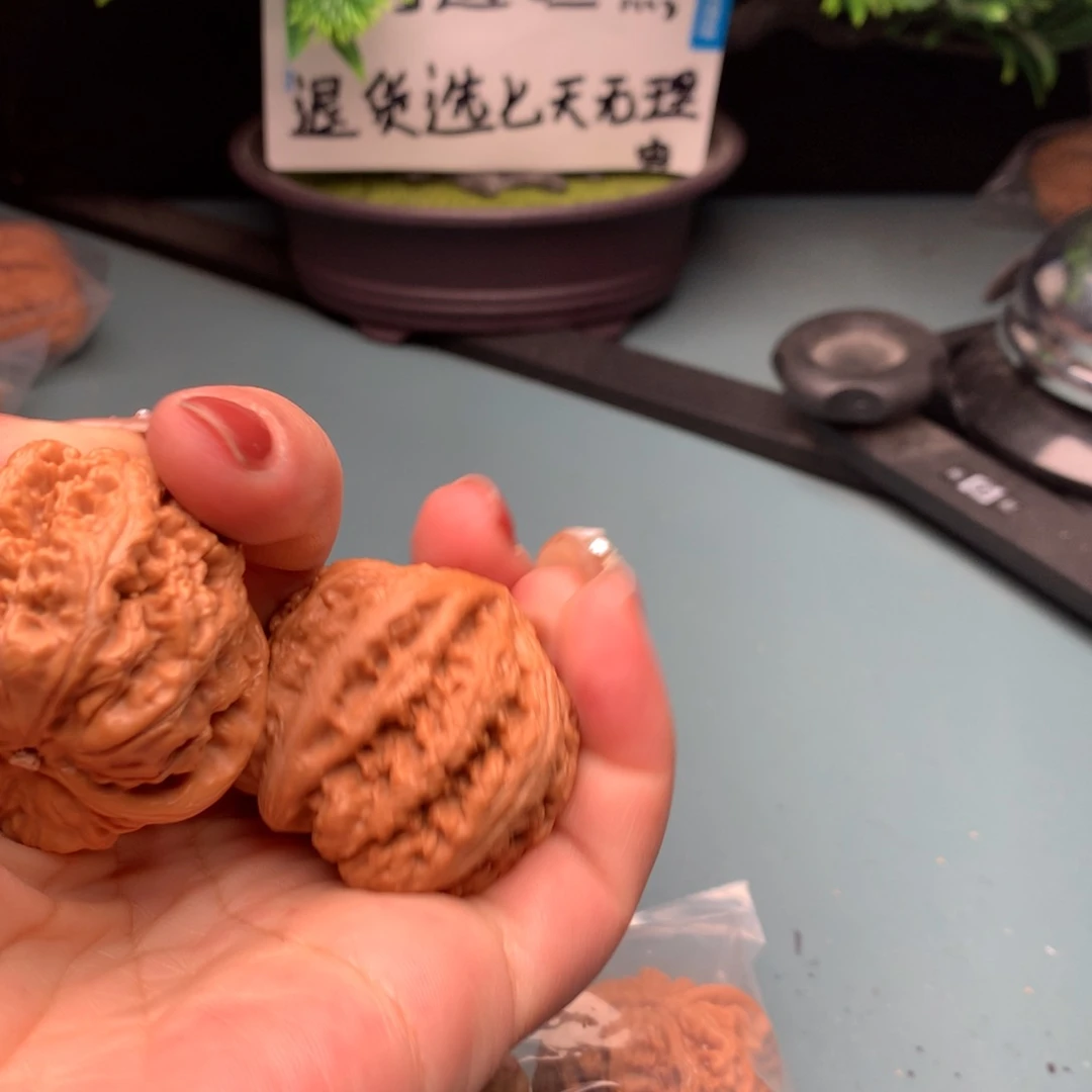 文玩核桃把件粗筋4041