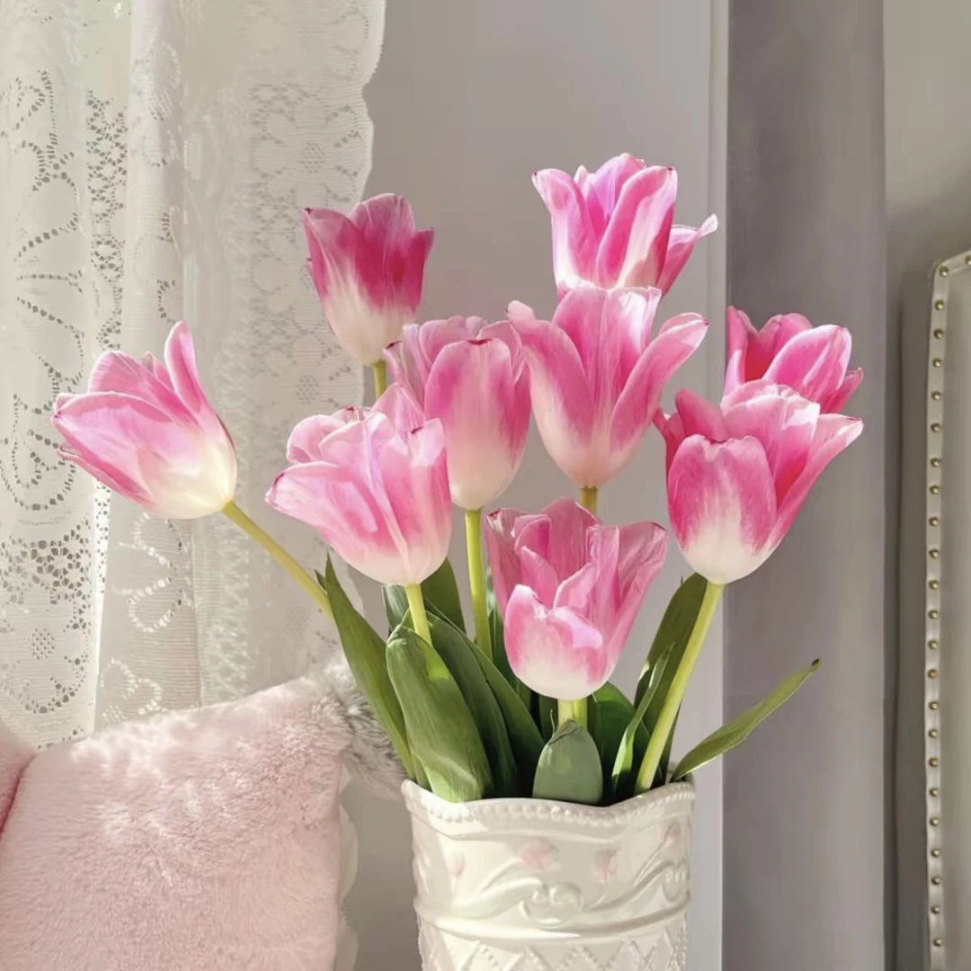 【5度只有种球-郁金香12+】荷兰稀有品新手阳台地栽好养活盆栽花卉