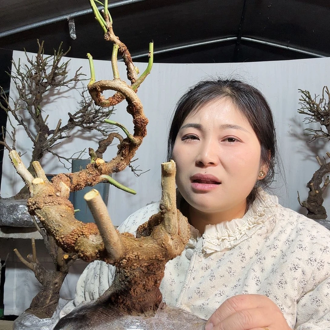 一***顺无花朵我们是有责任担当与