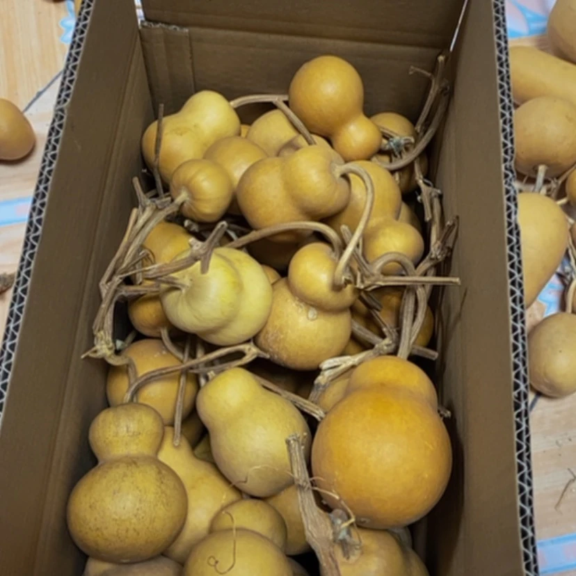 【闪购商品】50个瓶子75米