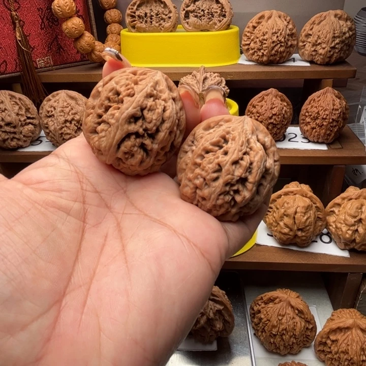 苦***缘核桃粗筋40全品5019