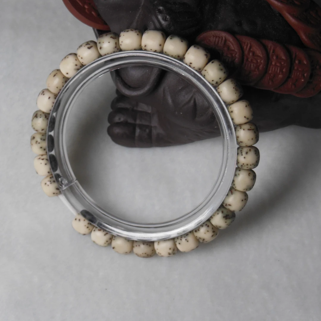 海南原生态星月菩提，绿包白河豚