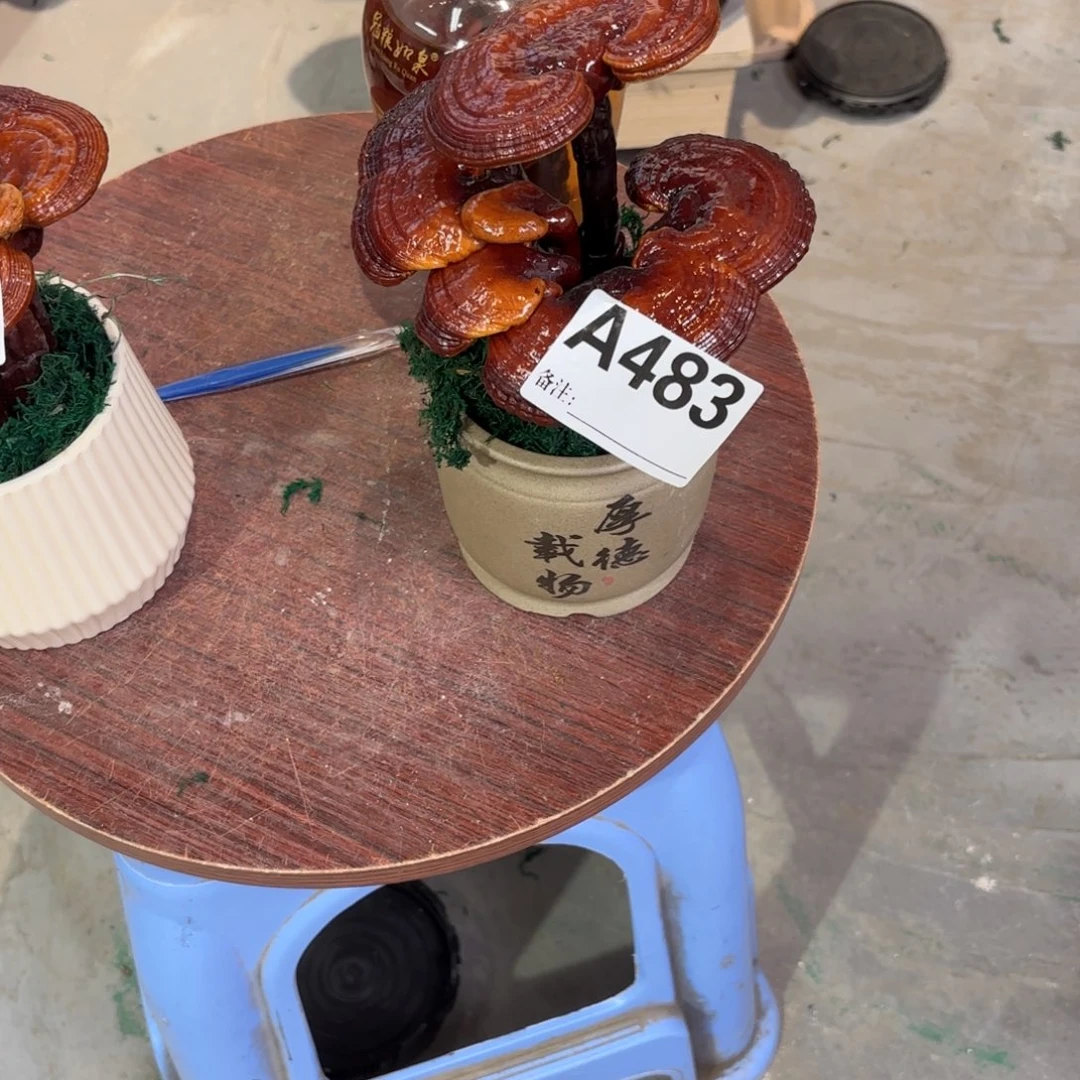 㞮***孞灵芝888888888888888888
