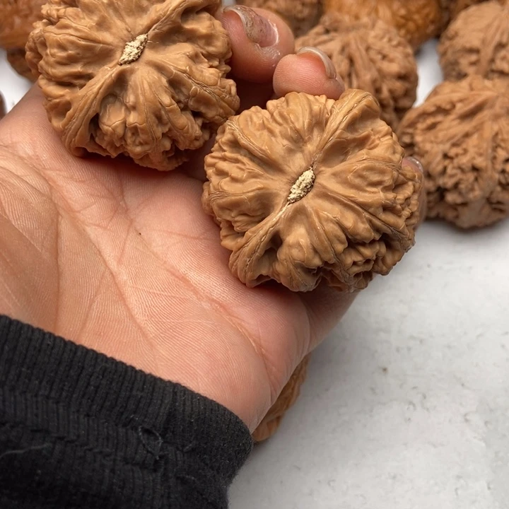 文玩核桃把件邵*粗筋