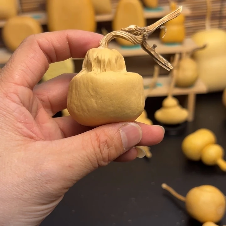 飞*葫芦葫芦葫芦葫芦葫芦