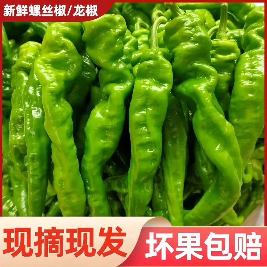 【香辣】5斤装新鲜螺丝椒辣椒尖椒农家时令蔬菜应季现摘原产地直发