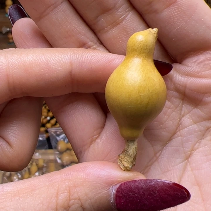 大***盼哈哈哈哈哈哈哈哈哈