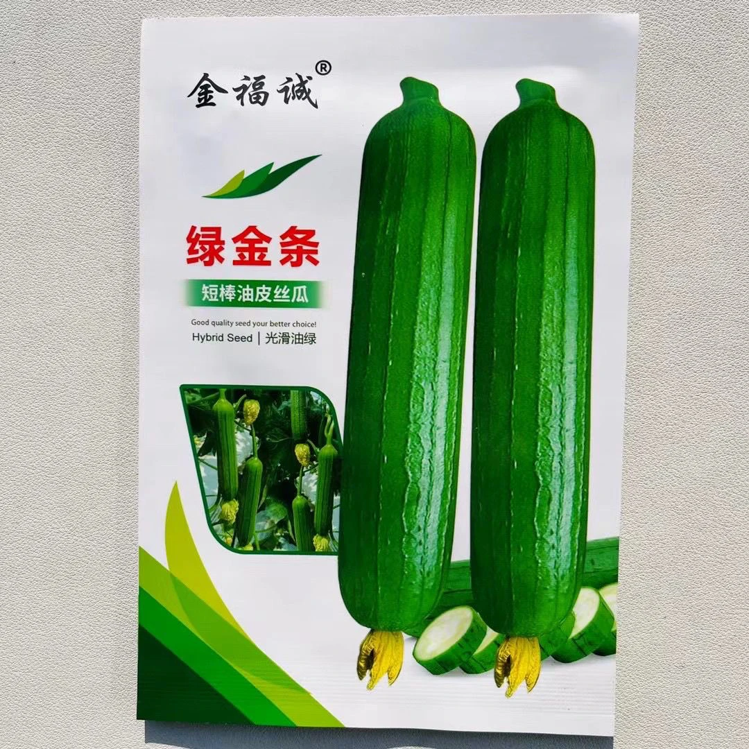 绿金条丝瓜种子油绿油亮短棒型肉丝瓜种籽高产早熟抗病大田用种籽