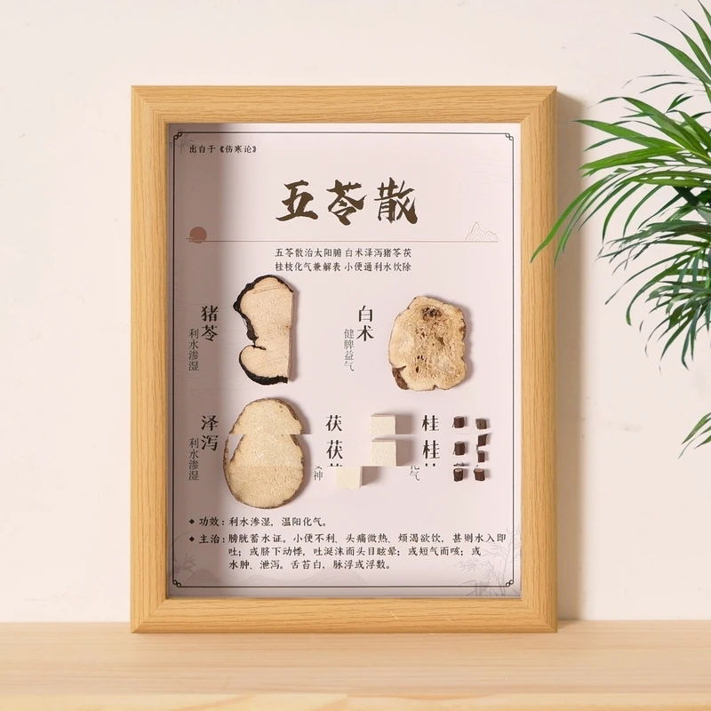 中药标本画方剂展示墙中医馆汤方养中草药装饰画文化相框文创周边