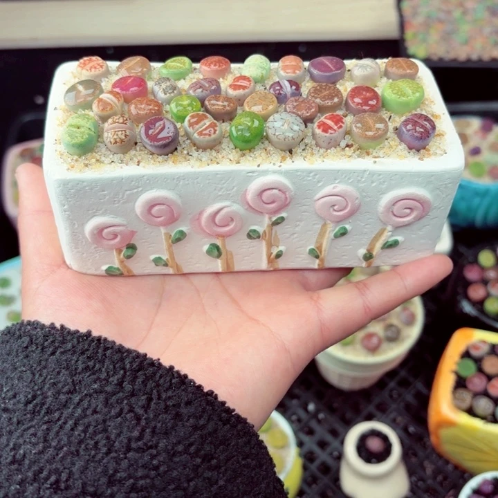 561零下地区记得拍保温箱满18包邮