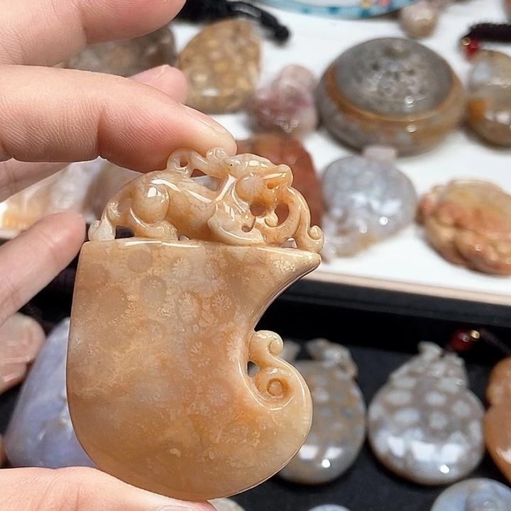硅化珊瑚（珊瑚玉）未镶嵌颈饰