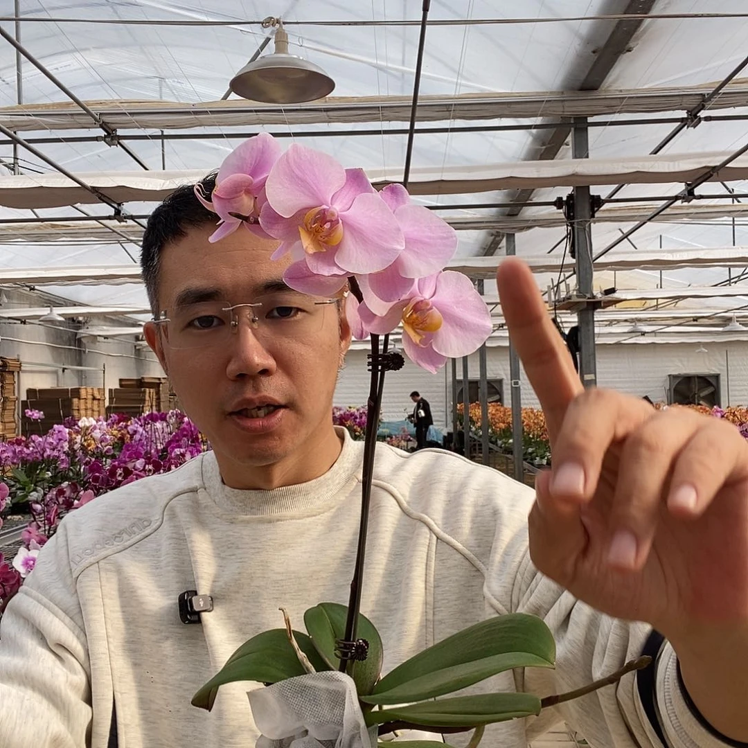 完全开放萨利纳斯3.5寸小双剑