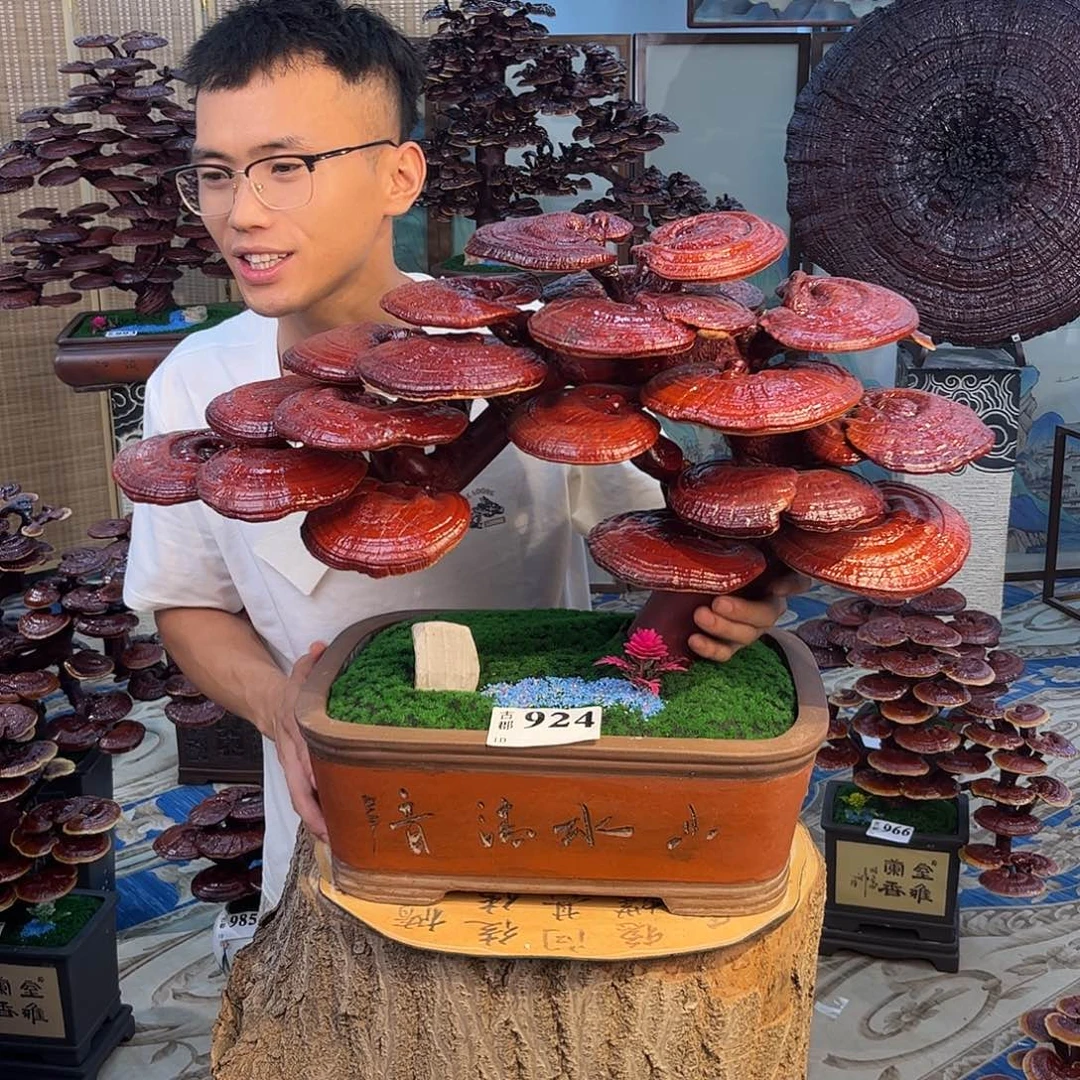 无花朵88888888888