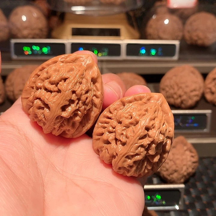 文玩核桃把件红锦鲤35尺