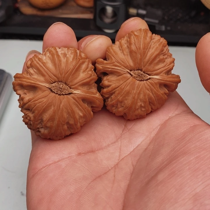 核桃手串/手链暴***子我在这里等你回来了，我