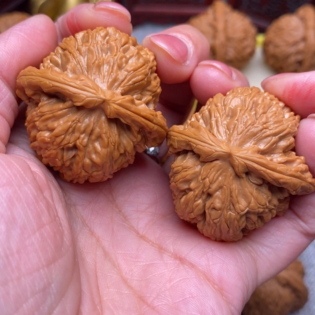 文玩核桃把件毕业白狮子39.9尺