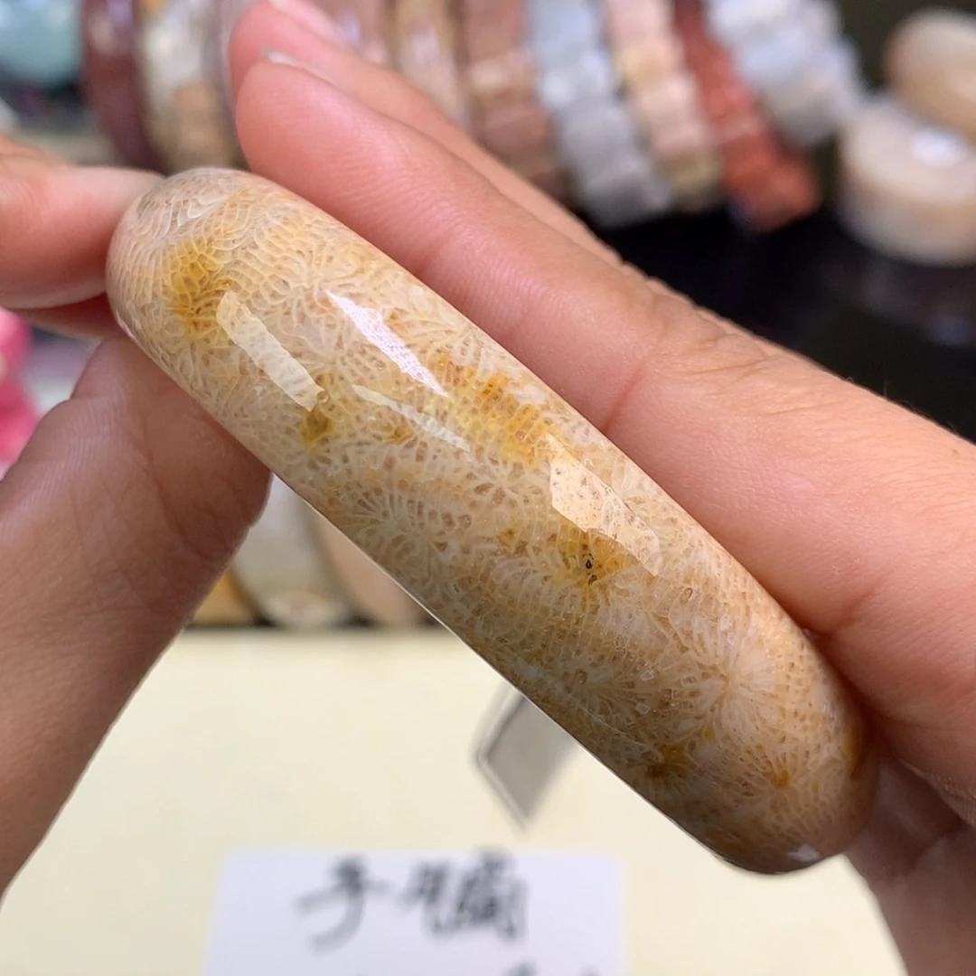 【闪购商品】颈饰未镶嵌硅化珊瑚（珊瑚玉）78号精美凤尾62圈