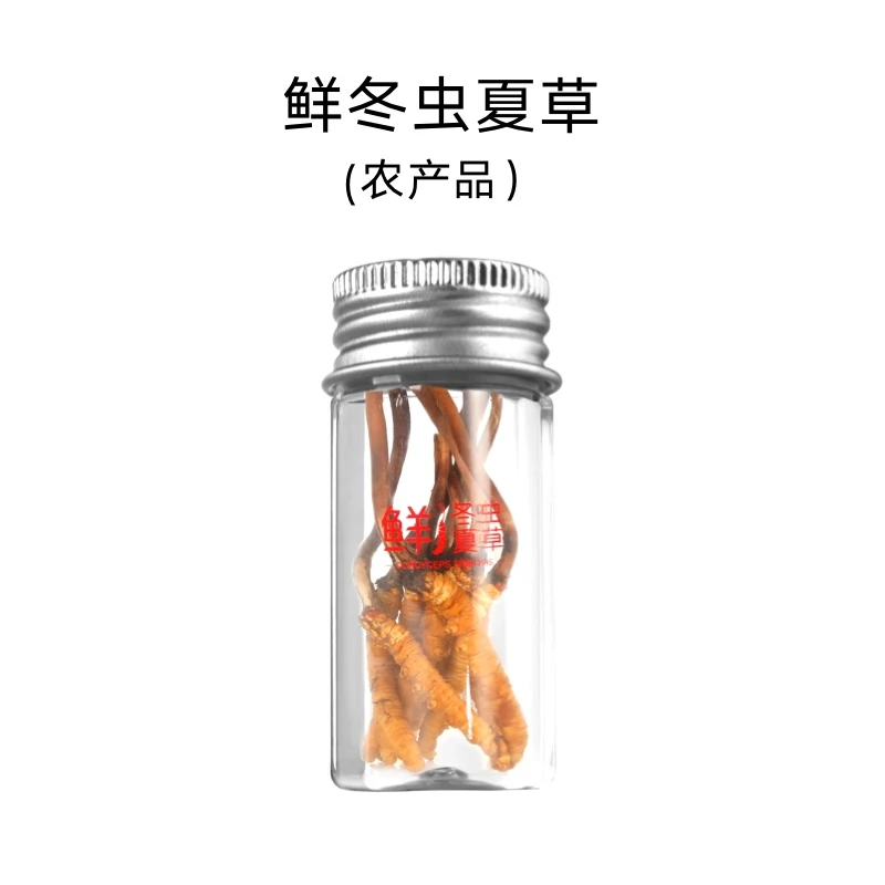 总统牌 那曲 鲜冬虫夏草 2A级-27支装 （0.61-0.8g/支）