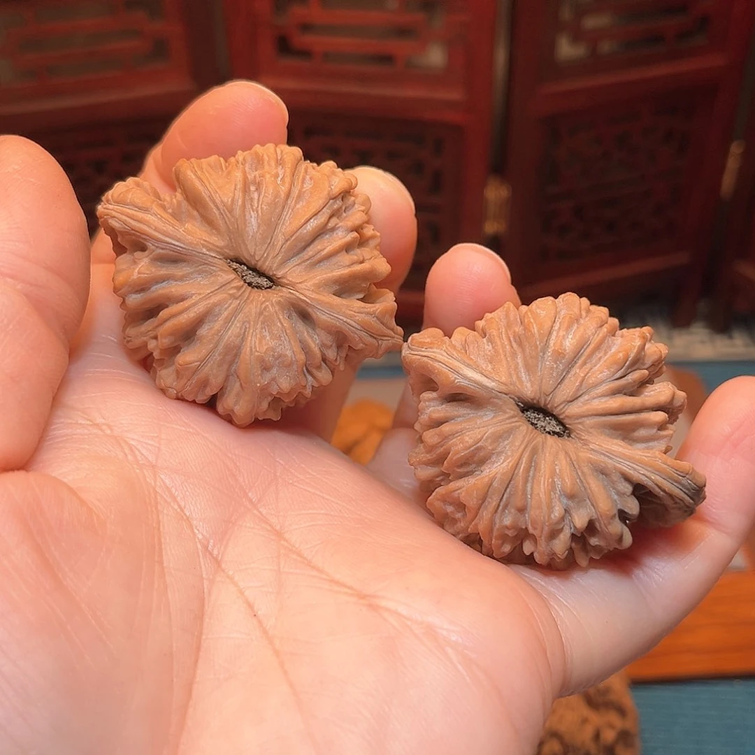 一**一46全品四座楼……福利