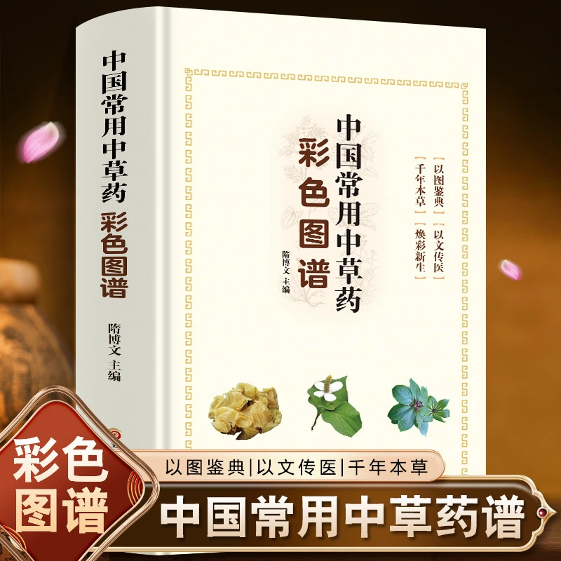彩色图谱  中国常用中草药 实用中草药图鉴 养生图谱中草药材大全