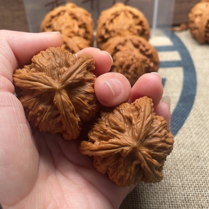 無***為核桃白狮子43核桃