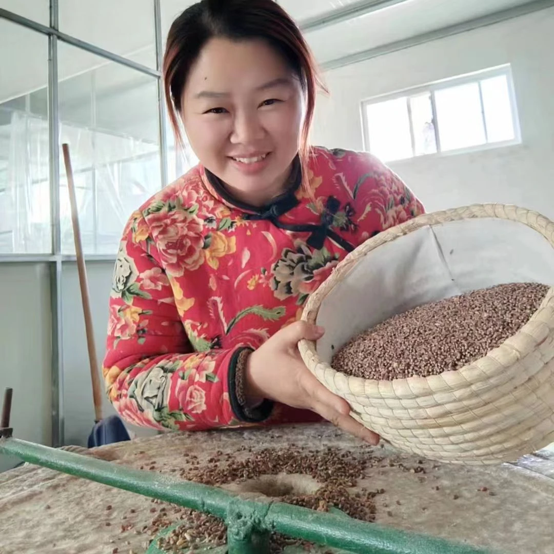 麦仁小麦 去皮小麦仁小麦粒农家脱皮麦仁米杂粮粥脱壳新小麦