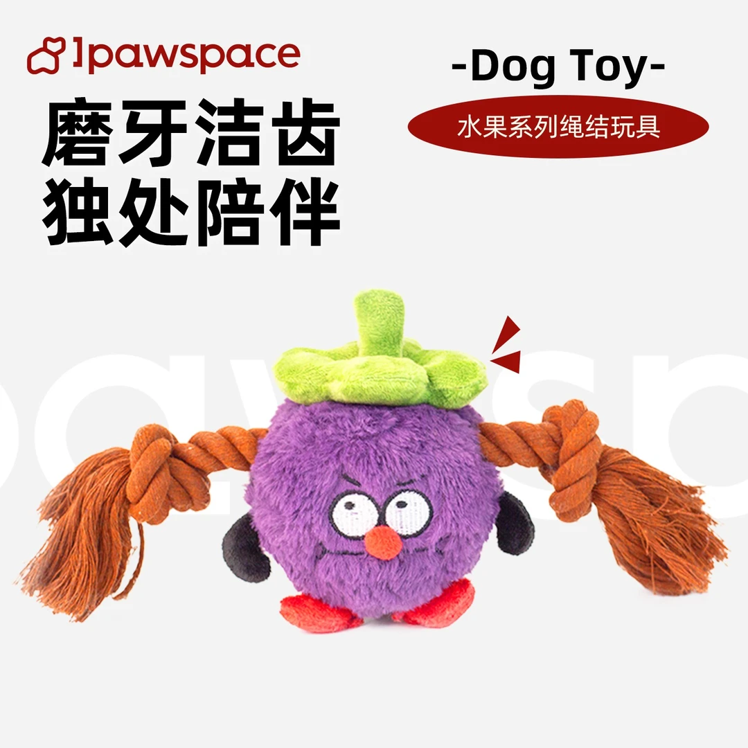IPAWSPACE狗狗宠物玩具磨牙洁齿自嗨解闷毛绒绳结陪伴狗发声玩具