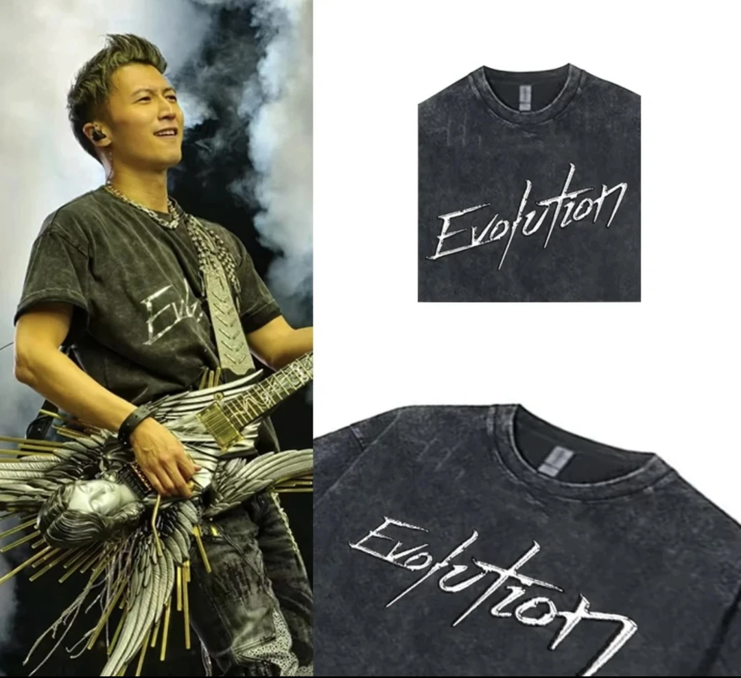 2025谢霆锋进化香港演唱会门票应援物周边衣服纯棉美式重磅t恤