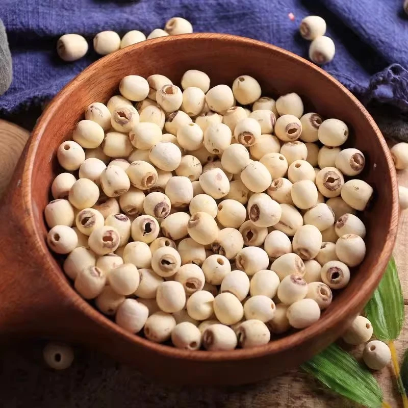 【包粉包糯】莲子去芯磨皮新鲜正宗饱满清香健康煲汤煮粥