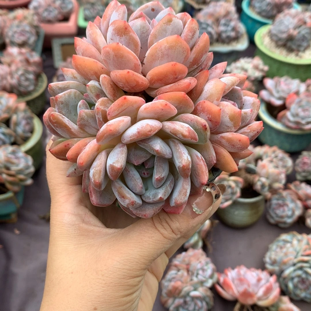 哈哈哈哈哈哈哈哈哈哈哈
