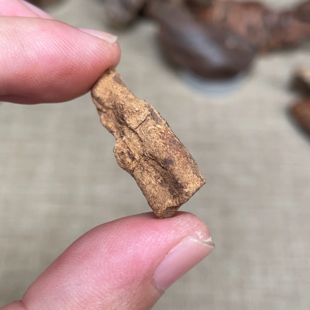 沉香兰卡红土虎斑