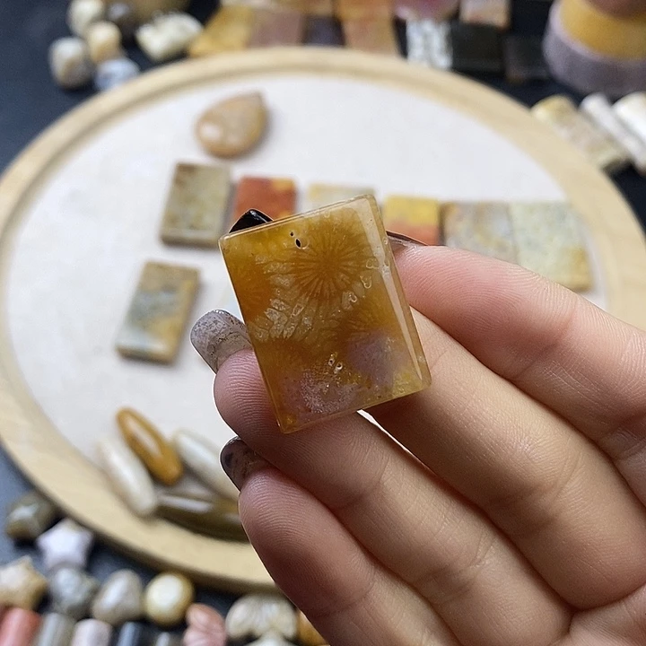 硅化珊瑚（珊瑚玉）未镶嵌颈饰1