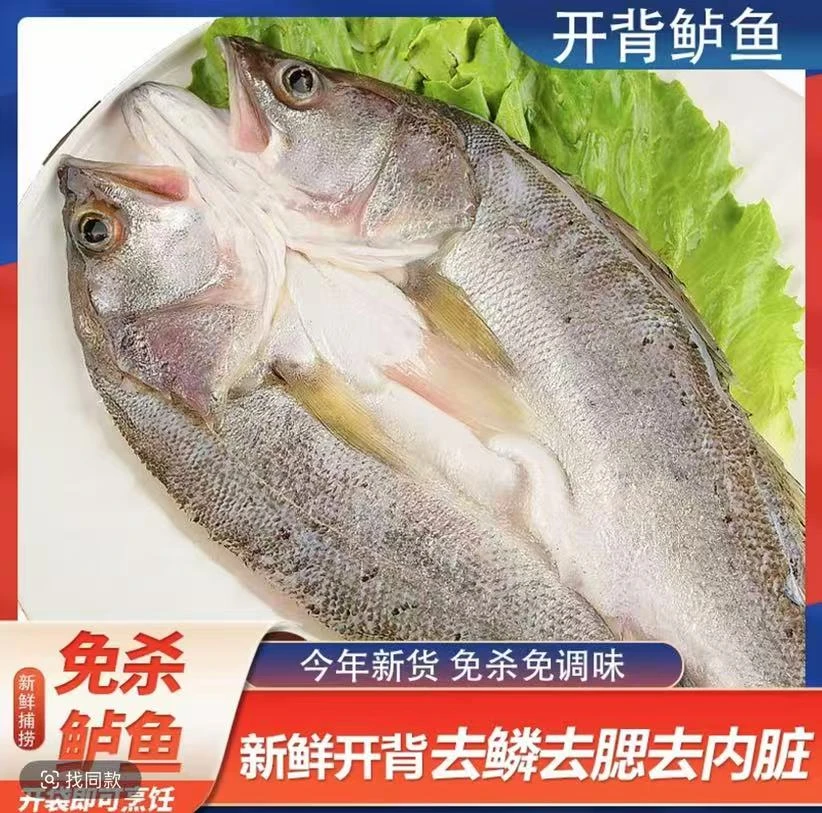 连云港发货开背海鲈鱼新鲜速冻（去鳞去鳃去内脏）每条400-500g*5条