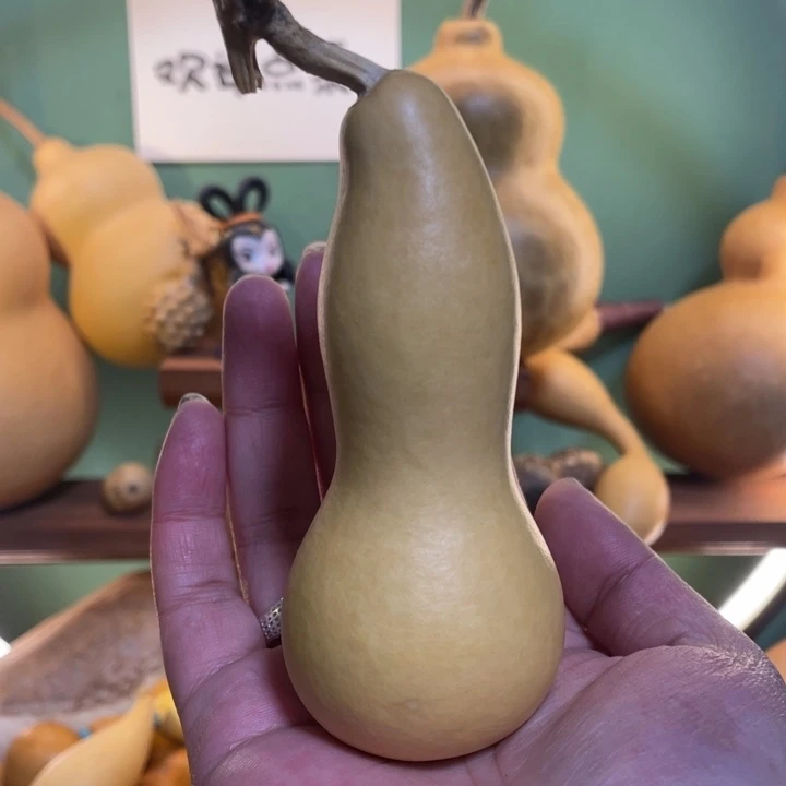 看好下单不保龙头