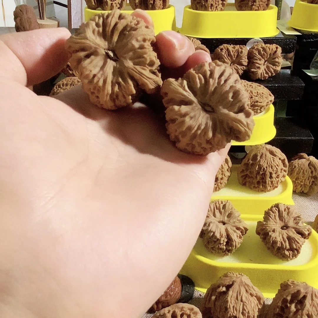 木质类今天的我是个