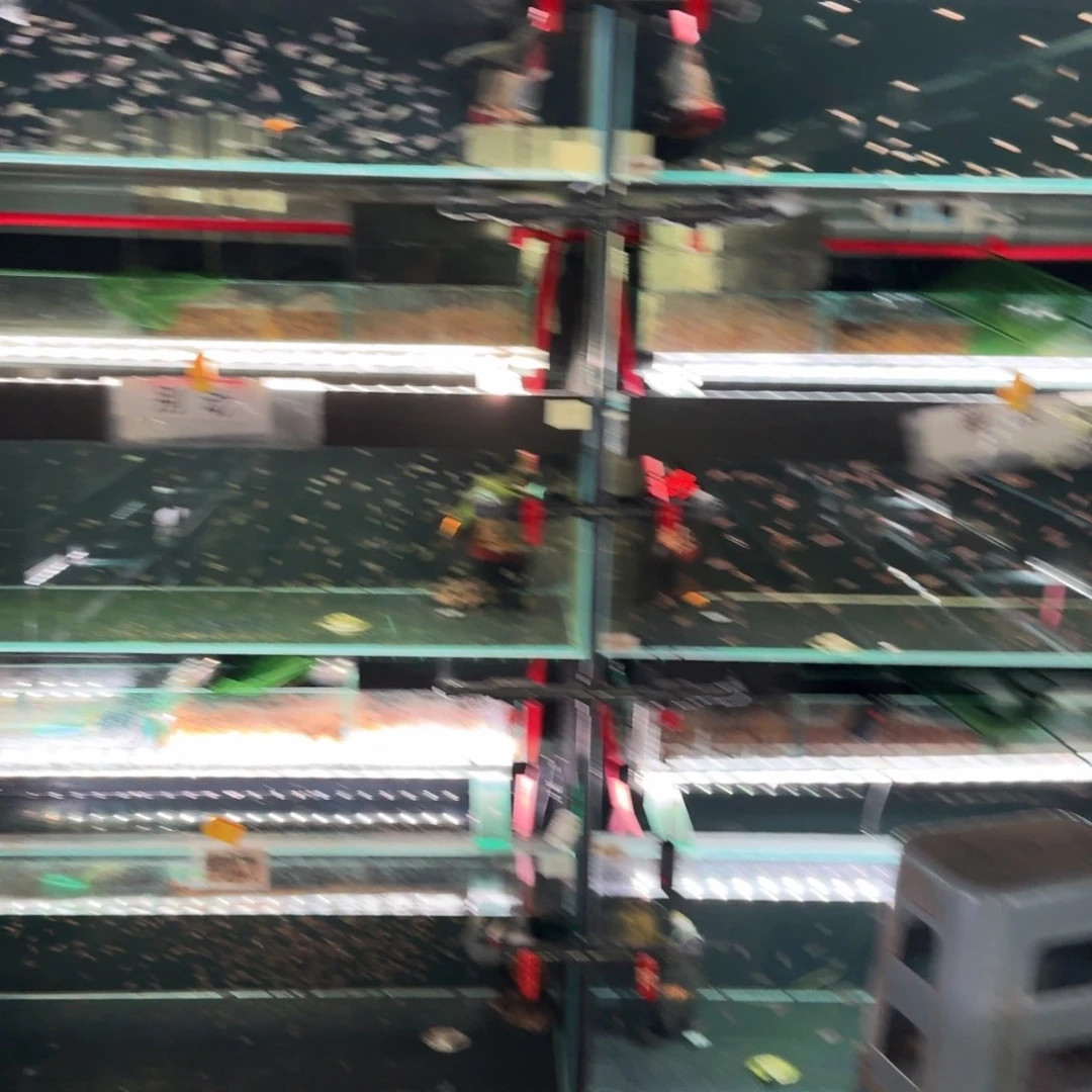 老***店海水鱼尼青2➕黑金红头2