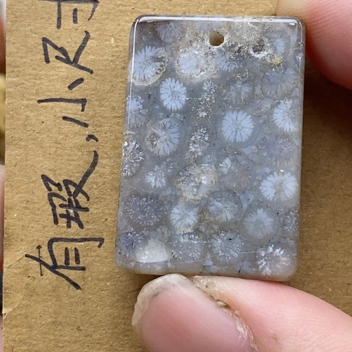 颈饰未镶嵌硅化珊瑚（珊瑚玉）