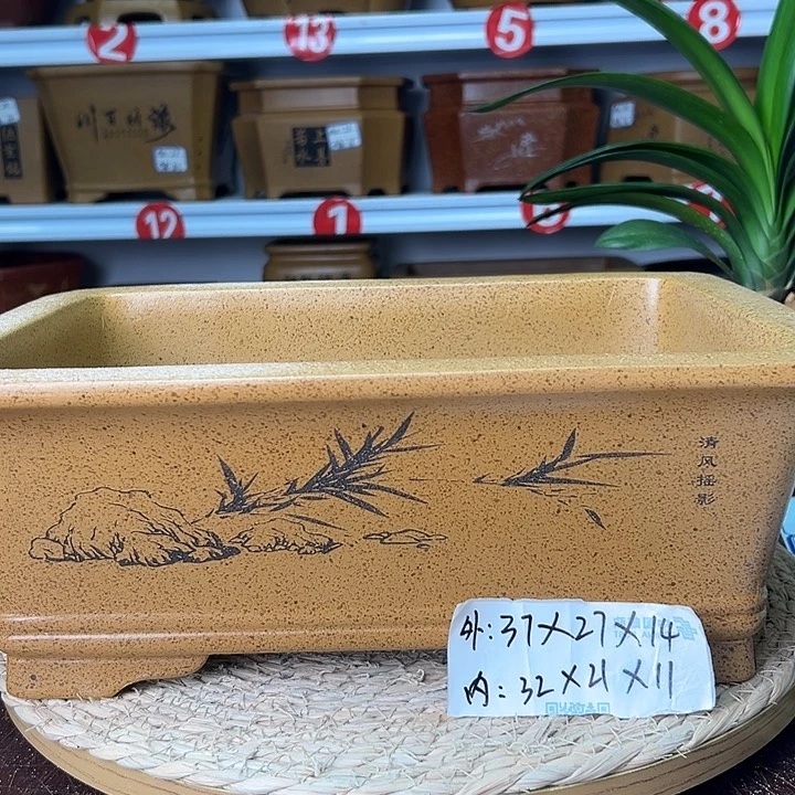 紫砂花盆蛇年大吉