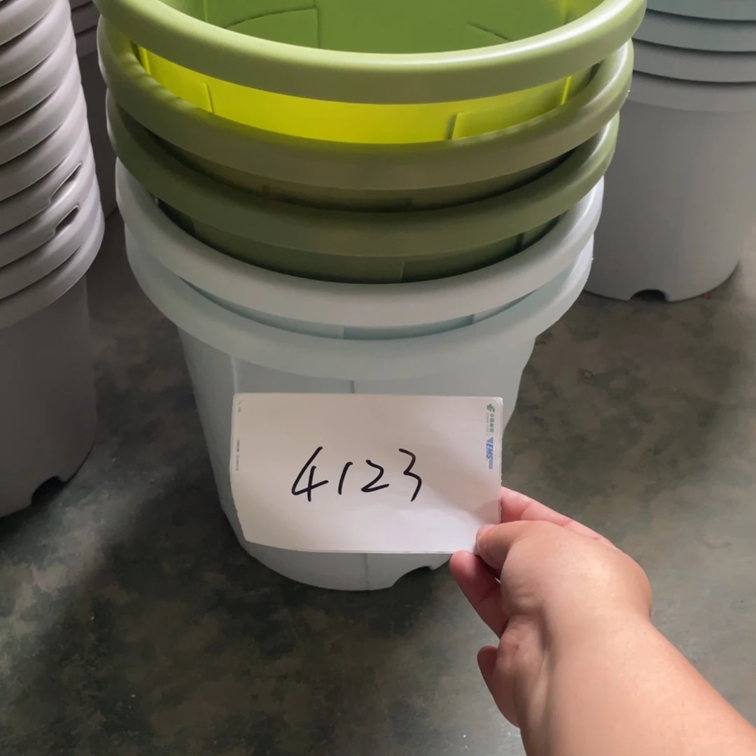 丹*编号是4123的编号