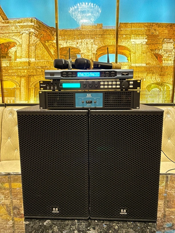 9新  （不包邮）德国5.S黑标系列12寸音响四件套