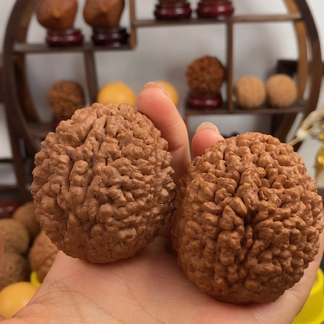 文玩核桃把件刺龙5059微瑕