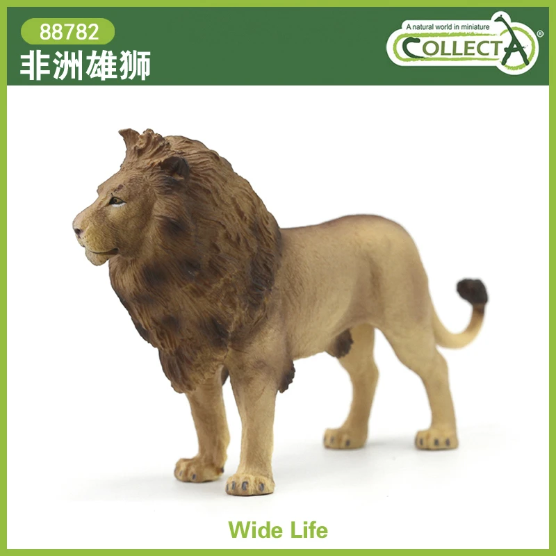 英国CollectA我你他仿真野生动物模型玩具儿童认知88782非洲雄狮