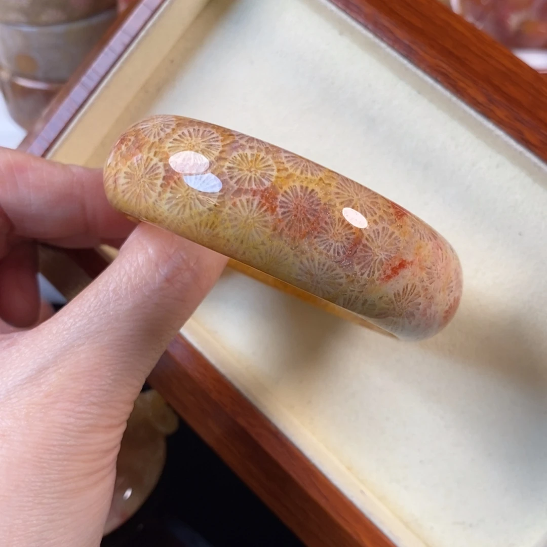 硅化珊瑚（珊瑚玉）未镶嵌手镯54.4口500