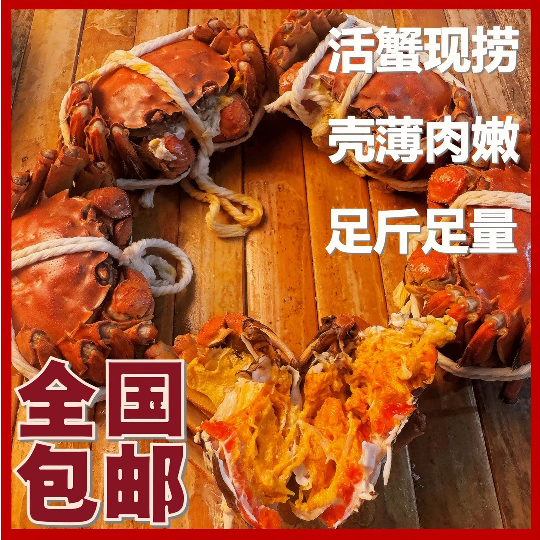 【活蟹现发】10只精品全母蟹（3.3-3.7两 ）礼盒装顺丰京东包邮MM