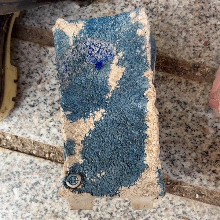 多肉植物花盆花盆