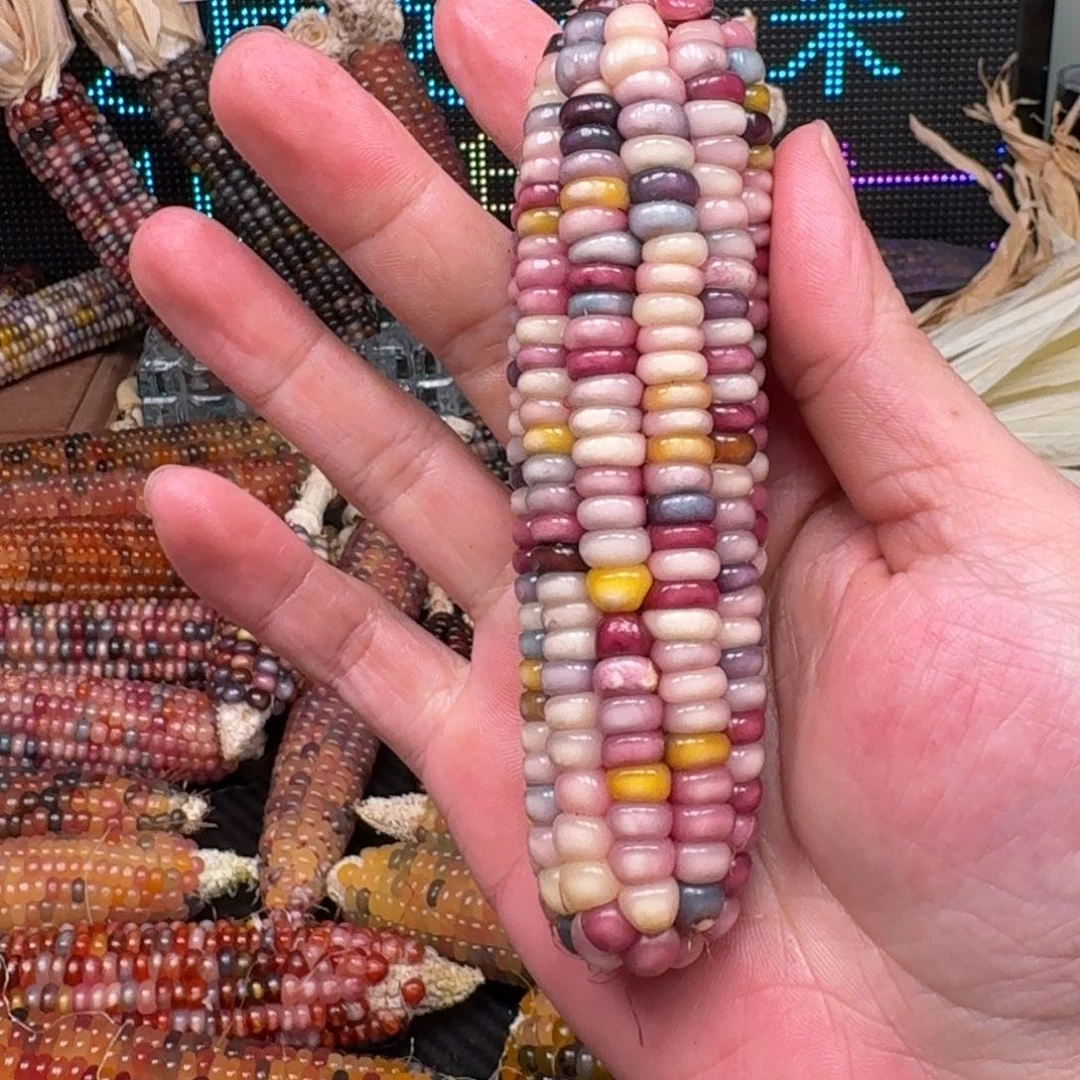 柏香籽/百香籽吊坠叶*