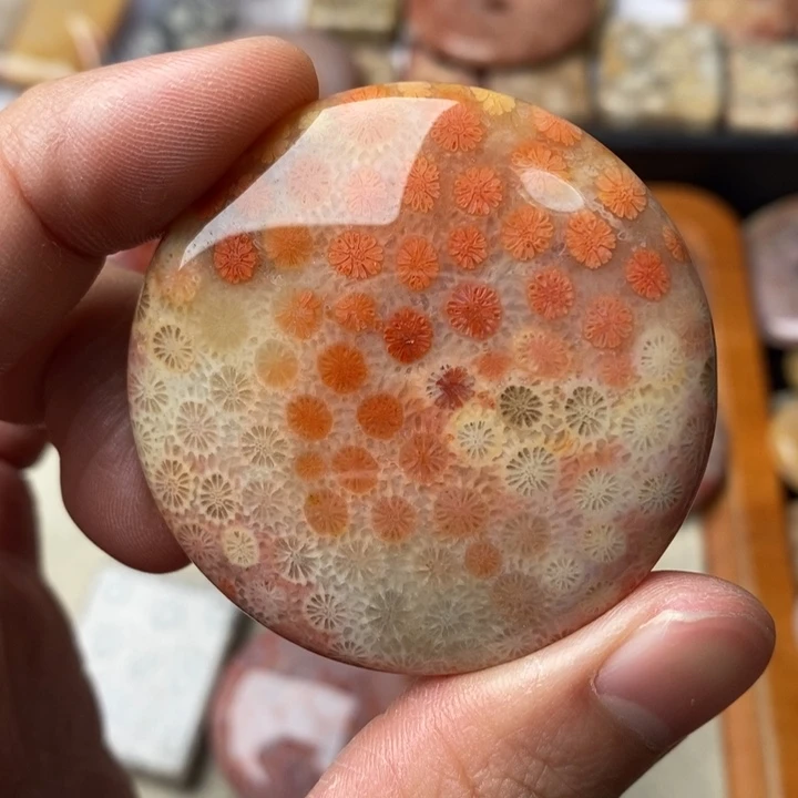 硅化玉颈饰未镶嵌黄****蹊