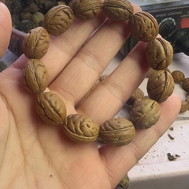 小****桃枭桃枭桃枭桃枭